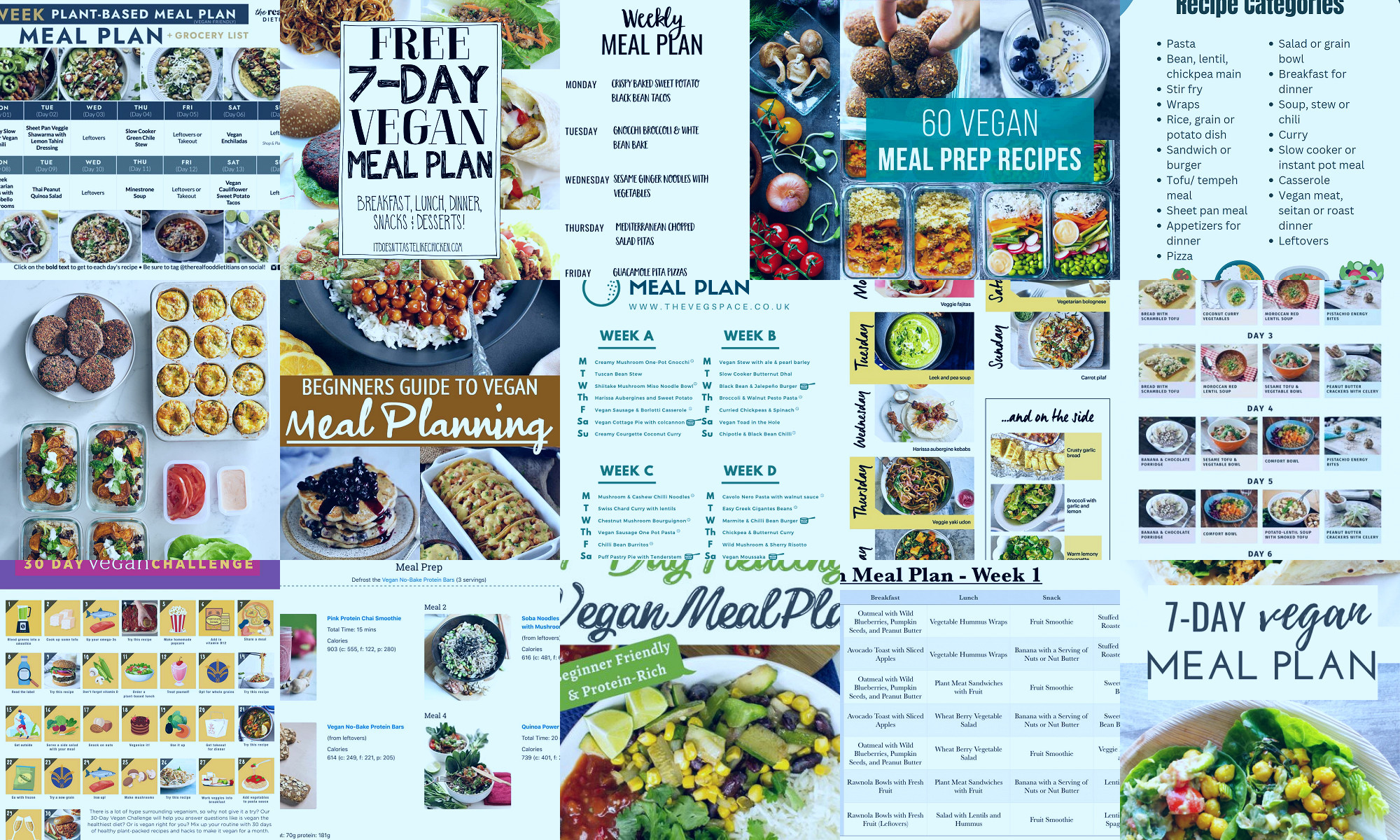 vegan meal planning options